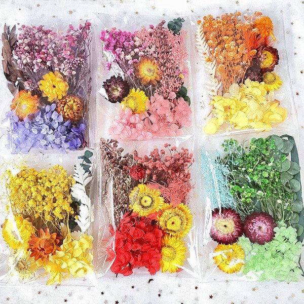 Assorted Natural Dried Pressed Flowers & Leaves Pack for Resin Art & Crafts